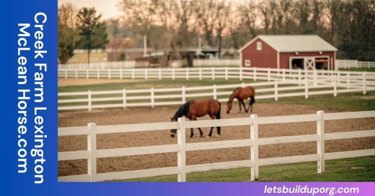 Creek Farm Lexington McLean Horse